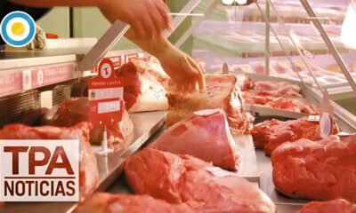 Esc ndalo de Carne Estragada em Hortol ndia 37 Toneladas Retiradas do Mercado e a Luta por Justi a
