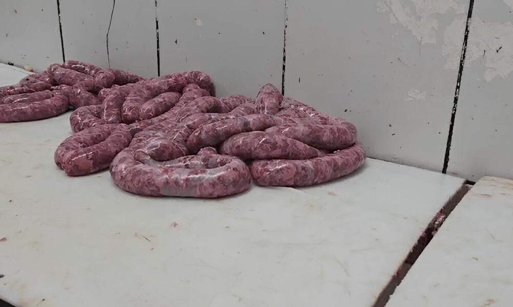 Esc ndalo de Carnes Estragadas O Que Voc Precisa Saber Sobre o Frigor fico Clandestino que Colocou Milhares em Risco