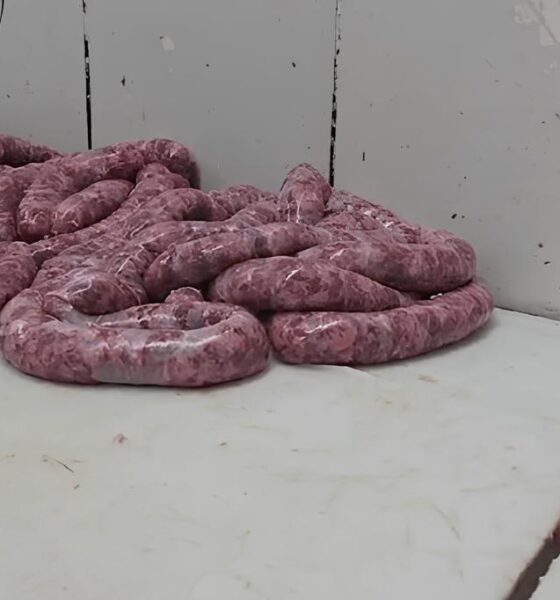 Escândalo de Carnes Estragadas: O Que Você Precisa Saber Sobre o Frigorífico Clandestino que Colocou Milhares em Risco 4 Esc ndalo de Carnes Estragadas O Que Voc Precisa Saber Sobre o Frigor fico Clandestino que Colocou Milhares em Risco
