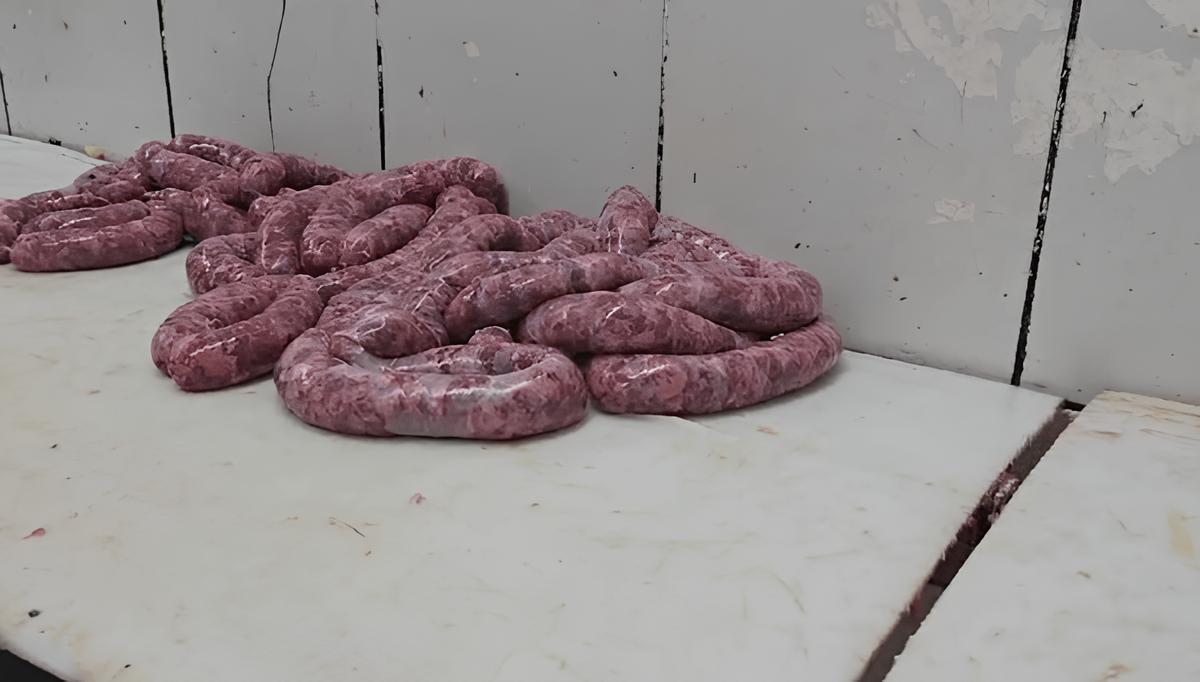 Escândalo de Carnes Estragadas: O Que Você Precisa Saber Sobre o Frigorífico Clandestino que Colocou Milhares em Risco 3 Esc ndalo de Carnes Estragadas O Que Voc Precisa Saber Sobre o Frigor fico Clandestino que Colocou Milhares em Risco
