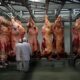 Esc ndalo no Prato Frigor fico com 37 5 Toneladas de Carne Impr pria Desmantelado em SP O Que Isso Revela Sobre a Seguran a Alimentar no Brasil