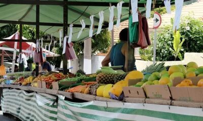 Feira de Ado o Pet no Shopping de Campinas Um Raio de Esperan a para Animais Resgatados