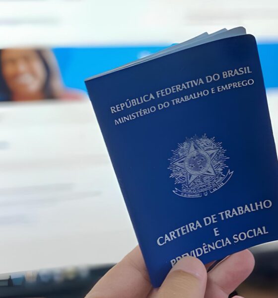 Guaíba Em Foco: O Dia em que a Cidade Encontrou sua Identidade – Economia, Cultura e Comunidade se Cruzam 13 Gua ba Em Foco O Dia em que a Cidade Encontrou sua Identidade Economia Cultura e Comunidade se Cruzam