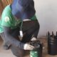 Hortol ndia Contra a Dengue Como uma Armadilha da Fiocruz Pode Mudar o Jogo no Combate ao Aedes aegypti