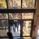 LTIMAS NOT CIAS CAMPINAS E REGI O Moradores Protestam Contra IPTU 2025 em Hortol ndia