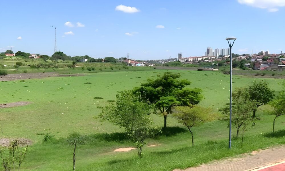 Lago de Hortol ndia O Retorno dos Aguap s e a Luta Contra a Polui o