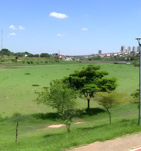 Lago de Hortolândia: O Retorno dos Aguapés e a Luta Contra a Poluição 14 Lago de Hortol ndia O Retorno dos Aguap s e a Luta Contra a Polui o