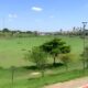 Lago de Hortol ndia O Retorno dos Aguap s e a Luta Contra a Polui o