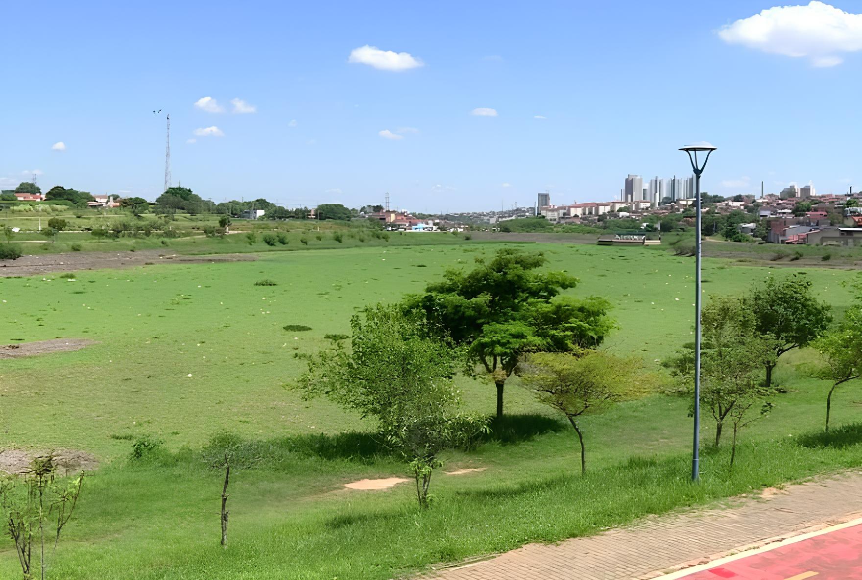 Lago de Hortolândia: O Retorno dos Aguapés e a Luta Contra a Poluição 13 Lago de Hortol ndia O Retorno dos Aguap s e a Luta Contra a Polui o