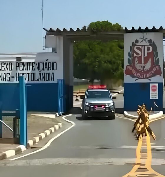 Libertação Temporária: Quando 20 Mil Presos Saem às Ruas de São Paulo – Um Olhar Sobre o Impacto, a Lei e o Futuro da Sociedade 14 Liberta o Tempor ria Quando 20 Mil Presos Saem s Ruas de S o Paulo Um Olhar Sobre o Impacto a Lei e o Futuro da Sociedade