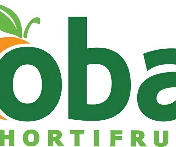 LinkedIn Jobs: A Oportunidade de Crescimento no Setor de Hortifrúti Está em Hortolândia/SP 14 LinkedIn Jobs A Oportunidade de Crescimento no Setor de Hortifr ti Est em Hortol ndia SP