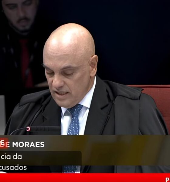 O Crime Silencioso que Abala Campinas: O Caso Santa Genebra e o Que Ele Revela Sobre a Segurança Urbana 13 O Crime Silencioso que Abala Campinas O Caso Santa Genebra e o Que Ele Revela Sobre a Seguran a Urbana
