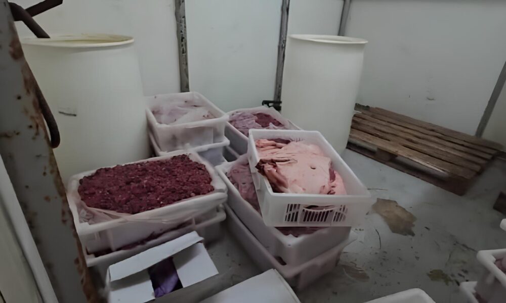 O Esc ndalo das 38 Toneladas Como a Gan ncia Colocou Milh es em Risco em Hortol ndia