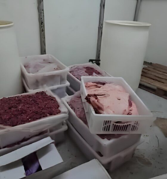 O Escândalo das 38 Toneladas: Como a Ganância Colocou Milhões em Risco em Hortolândia 4 O Esc ndalo das 38 Toneladas Como a Gan ncia Colocou Milh es em Risco em Hortol ndia