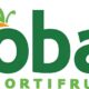 O Futuro Come a Aqui Por Que Ser um Auxiliar de Servi os Gerais no Frigor fico Oba Hortifruti Mais do Que Um Emprego