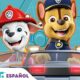 Por Que Este Analista de SAC J nior da EMS Est Redefinindo Carreiras em Hortol ndia