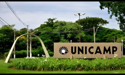 Por Que Este Concurso da Unicamp Mais do Que Apenas Uma Vaga de Professor Titular