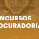 Por Que o Concurso PGM Campinas a Oportunidade da Vida Para Voc Descubra Como Se Preparar Agora Mesmo
