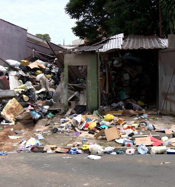 Quando a Casa Vira um Labirinto: A Batalha Silenciosa dos Acumuladores de Campinas e o Papel do Governo na Reconstrução de Vidas 4 Quando a Casa Vira um Labirinto A Batalha Silenciosa dos Acumuladores de Campinas e o Papel do Governo na Reconstru o de Vidas