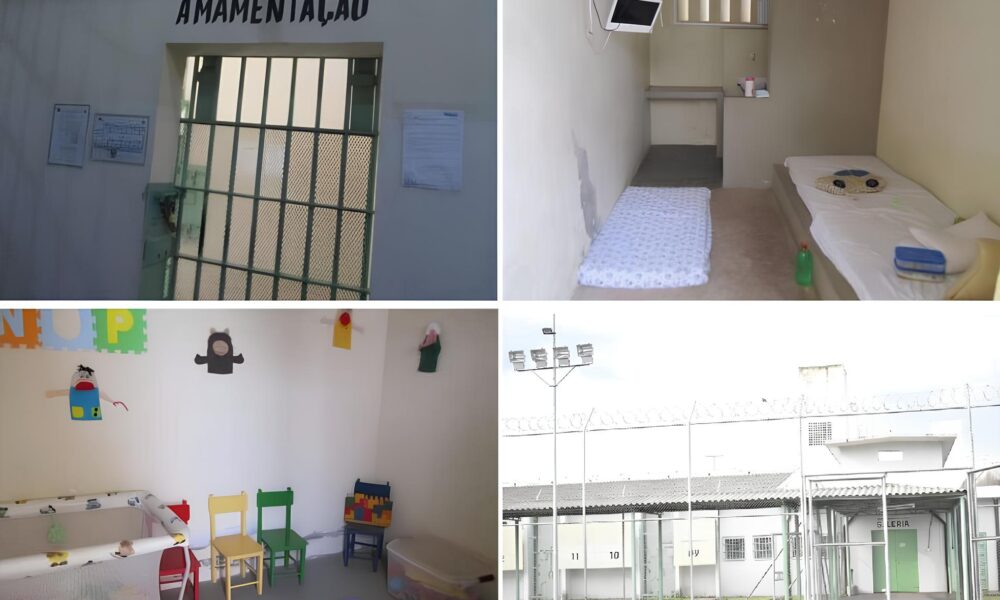 Quando o Leite Materno Vira Lei Como a Justi a Redefiniu o Conceito de Trabalho no Brasil