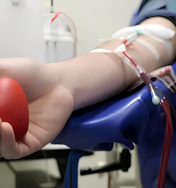 Quando o Sangue do Coração Salva Vidas: A História Não Contada de Campinas e Sua Revolução Silenciosa na Solidariedade 29 Quando o Sangue do Cora o Salva Vidas A Hist ria N o Contada de Campinas e Sua Revolu o Silenciosa na Solidariedade