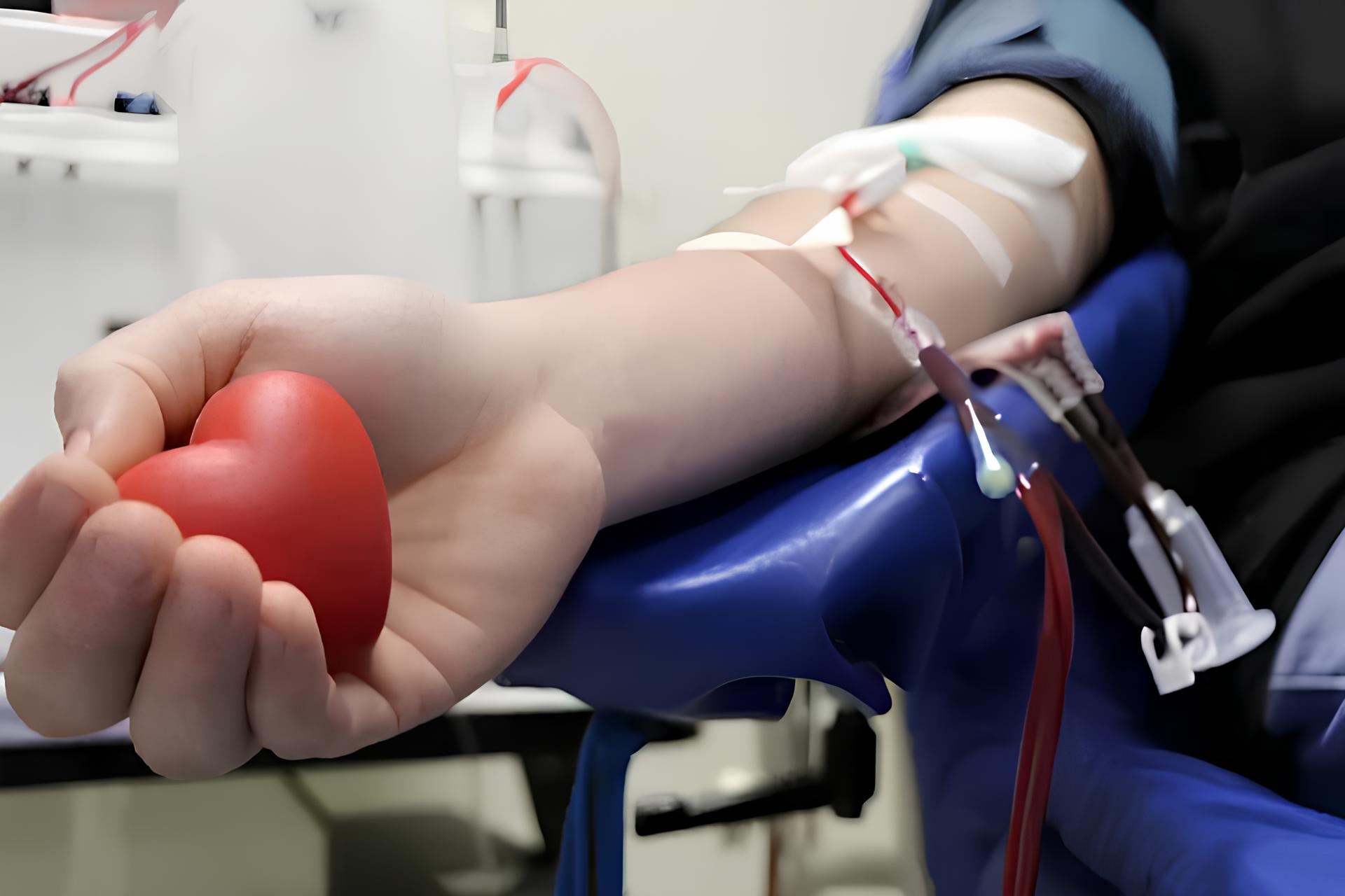 Quando o Sangue do Coração Salva Vidas: A História Não Contada de Campinas e Sua Revolução Silenciosa na Solidariedade 28 Quando o Sangue do Cora o Salva Vidas A Hist ria N o Contada de Campinas e Sua Revolu o Silenciosa na Solidariedade