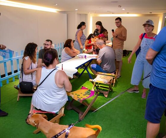 Summer Pet: O Fim de Semana em Que Cães Tornaram-se Estrelas no Galleria Shopping 29 Summer Pet O Fim de Semana em Que C es Tornaram se Estrelas no Galleria Shopping