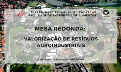 Um Futuro Moldado por Micr bios A Oportunidade nica na Unicamp para Redefinir a Ci ncia dos Alimentos