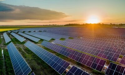 Vendedor a de Energia Solar Como Transformar uma Oportunidade em um Salto Profissional