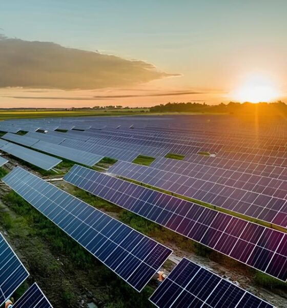 Vendedor(a) de Energia Solar: Como Transformar uma Oportunidade em um Salto Profissional 13 Vendedor a de Energia Solar Como Transformar uma Oportunidade em um Salto Profissional