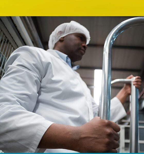 100 Vagas de Auxiliar de Produção em Araçatuba: Uma Jornada Rumo ao Emprego dos Sonhos 14 100 Vagas de Auxiliar de Produ o em Ara atuba Uma Jornada Rumo ao Emprego dos Sonhos