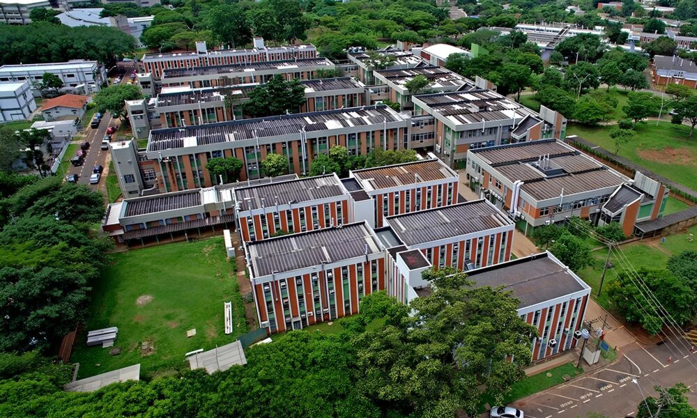 A Revolu o Acad mica da Unicamp Como Quatro Novos Cursos Podem Transformar o Futuro da Educa o no Brasil