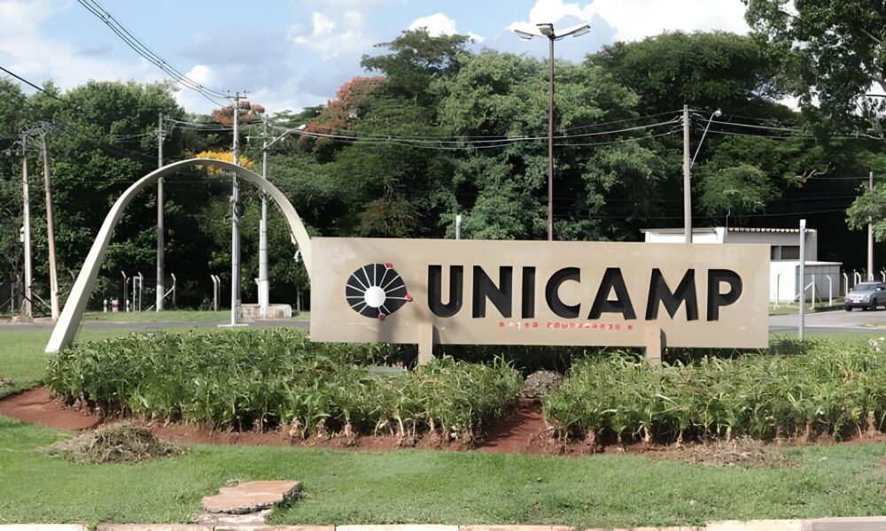 A Revolu o Silenciosa Como a Unicamp Est Redefinindo o Futuro da Educa o com Cotas para Pessoas Trans