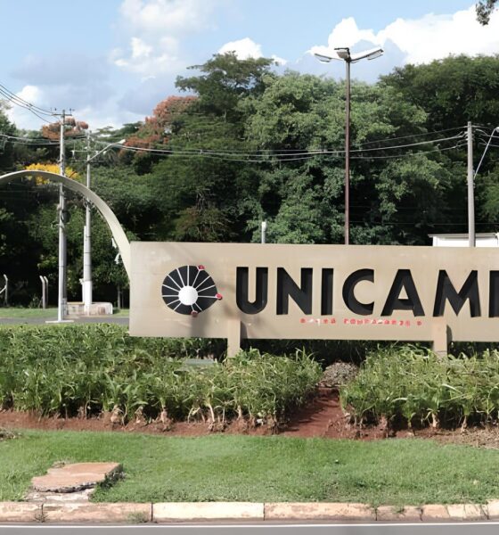 A Revolução Silenciosa: Como a Unicamp Está Redefinindo o Futuro da Educação com Cotas para Pessoas Trans 13 A Revolu o Silenciosa Como a Unicamp Est Redefinindo o Futuro da Educa o com Cotas para Pessoas Trans