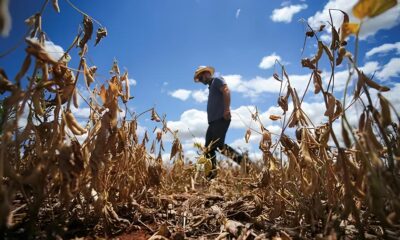A Seca Implac vel no Rio Grande do Sul Quando o C u Fecha as Torneiras Quem Paga o Pre o