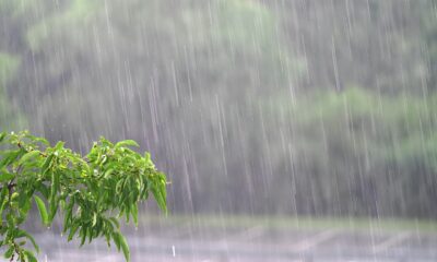 Chuvas Intensas em Campinas Por Que o Alerta Amarelo do INMET Deve Ser Levado a S rio