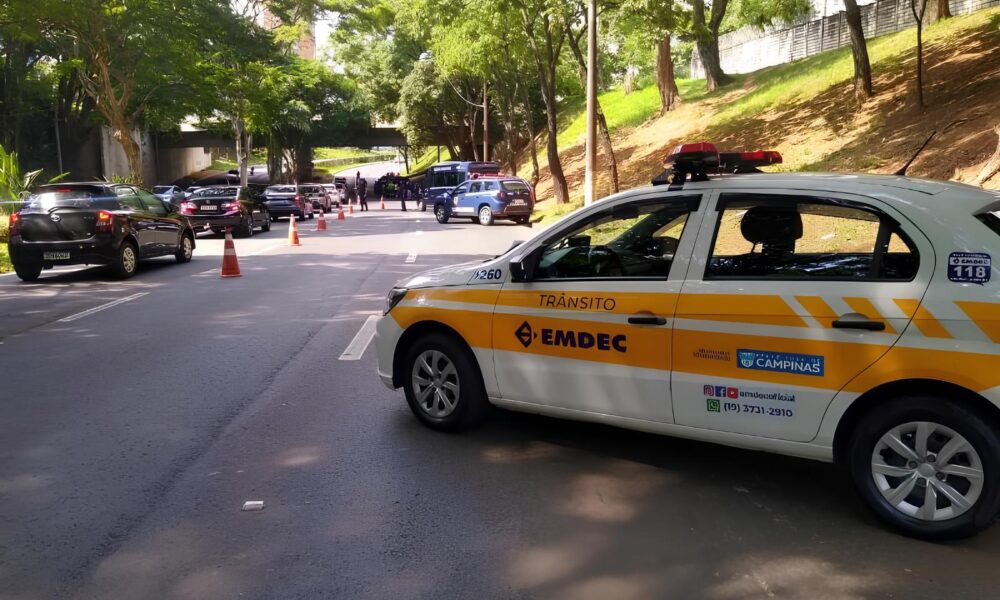 Como Uma Simples Poda de rvore em Campinas Est Revelando a Complexidade Urbana do Brasil