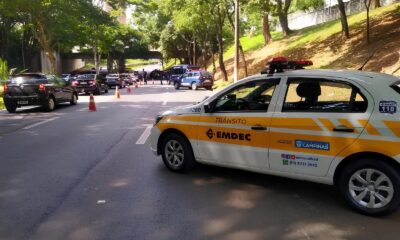 Como Uma Simples Poda de rvore em Campinas Est Revelando a Complexidade Urbana do Brasil