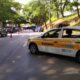 Como Uma Simples Poda de rvore em Campinas Est Revelando a Complexidade Urbana do Brasil