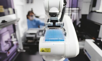 Como a Intelig ncia Artificial Est Redefinindo o Futuro da Ci ncia O Caso das Sinapses Imunol gicas no CNPEM
