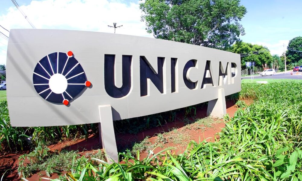 Como a Unicamp Est Abrindo Portas para Refugiados em 2025 Uma Oportunidade Transformadora no Brasil
