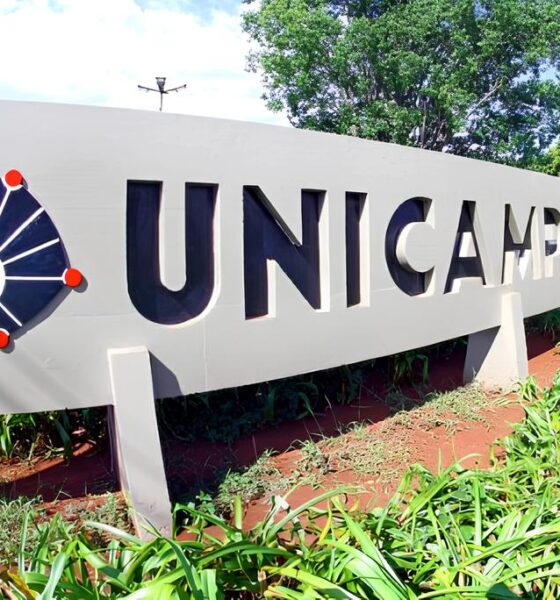 Como a Unicamp Está Abrindo Portas para Refugiados em 2025: Uma Oportunidade Transformadora no Brasil 13 Como a Unicamp Est Abrindo Portas para Refugiados em 2025 Uma Oportunidade Transformadora no Brasil