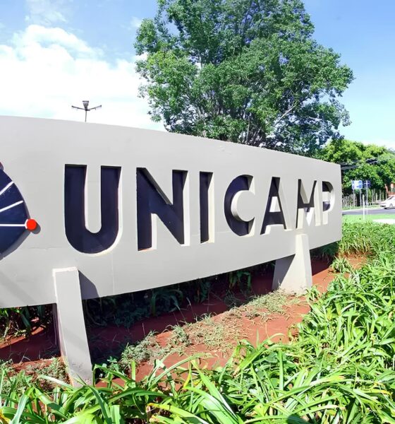 Como a Unicamp Está Transformando Vidas ao Abrir Portas para Refugiados: Uma Jornada de Esperança e Oportunidade 13 Como a Unicamp Est Transformando Vidas ao Abrir Portas para Refugiados Uma Jornada de Esperan a e Oportunidade