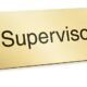 Como se Destacar na Carreira de Supervisor de Vendas em Hortol ndia Estrat gias Insights e Oportunidades