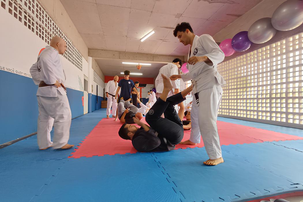 Descubra Como Transformar Sua Vida com as Artes Marciais Mau Oferece Oportunidade nica para Todos os Estilos