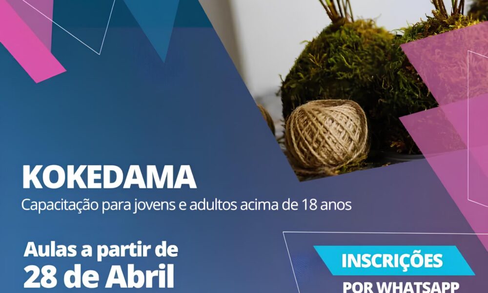 Descubra o Encanto do Kokedama A Arte Japonesa que Transforma Plantas em Obras de Arte Inscri es Abertas em Hortol ndia