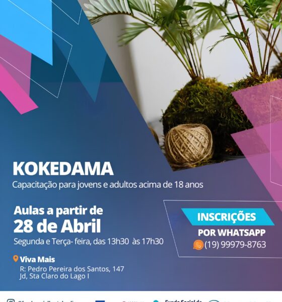 Descubra o Encanto do Kokedama A Arte Japonesa que Transforma Plantas em Obras de Arte Inscri es Abertas em Hortol ndia
