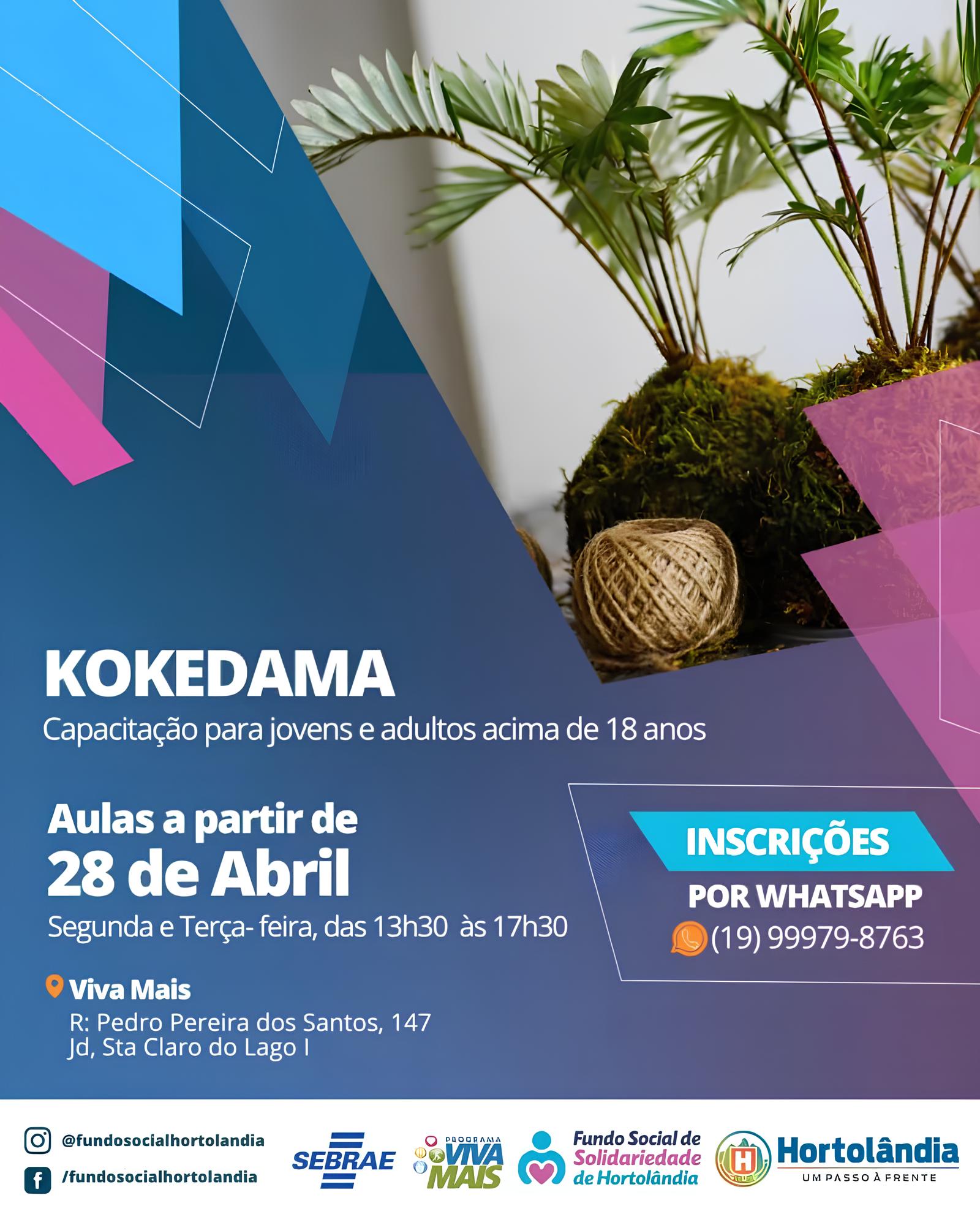Descubra o Encanto do Kokedama A Arte Japonesa que Transforma Plantas em Obras de Arte Inscri es Abertas em Hortol ndia