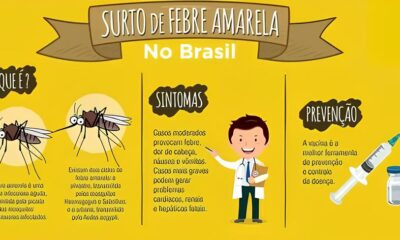 Febre Amarela em Campinas Uma Estrat gia Inovadora de Vacina o Domiciliar Salva Vidas