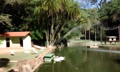 Feriado em Campinas Descubra o Para so Cultural Gastron mico e Religioso que N o Custa Nada
